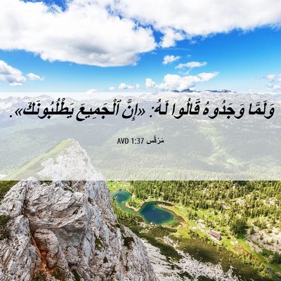 Picture 06 - مَرْقُس 1:37 AVD - وَلَمَّا وَجَدُوهُ - Bible Verse Picture