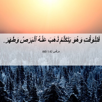Picture 06 - مَرْقُس 1:42 AVD - فَلِلْوَقْتِ وَهُوَ - Bible Verse Picture