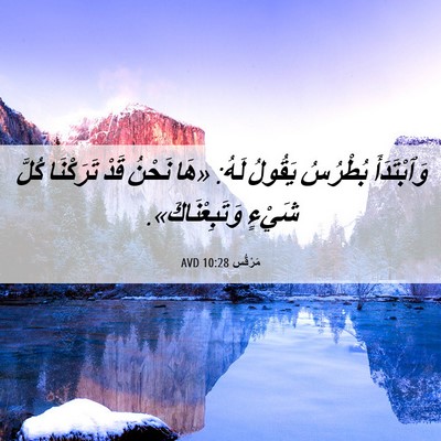 Picture 06 - مَرْقُس 10:28 AVD - وَٱبْتَدَأَ بُطْرُسُ - Bible Verse Picture