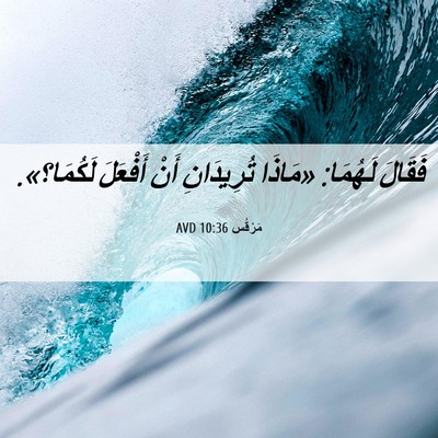 Picture 06 - مَرْقُس 10:36 AVD - فَقَالَ لَهُمَا: «مَاذَا - Bible Verse Picture