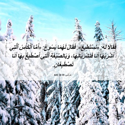 Picture 06 - مَرْقُس 10:39 AVD - فَقَالَا لَهُ: - Bible Verse Picture