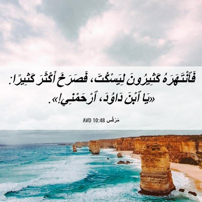 Picture 06 - مَرْقُس 10:48 AVD - فَٱنْتَهَرَهُ كَثِيرُونَ - Bible Verse Picture