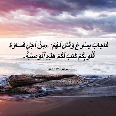 Picture 06 - مَرْقُس 10:5 AVD - فَأَجَابَ يَسُوعُ وَقَالَ - Bible Verse Picture