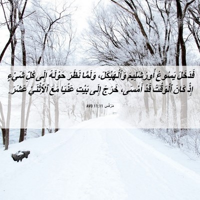 Picture 06 - مَرْقُس 11:11 AVD - فَدَخَلَ يَسُوعُ - Bible Verse Picture