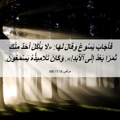 Picture 06 - مَرْقُس 11:14 AVD - فَأَجَابَ يَسُوعُ وَقَالَ - Bible Verse Picture