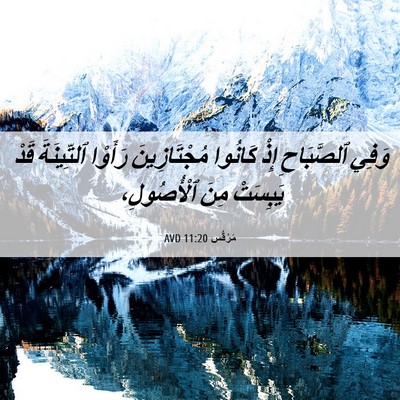 Picture 06 - مَرْقُس 11:20 AVD - وَفِي ٱلصَّبَاحِ إِذْ - Bible Verse Picture