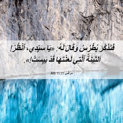 Picture 06 - مَرْقُس 11:21 AVD - فَتَذَكَّرَ بُطْرُسُ - Bible Verse Picture