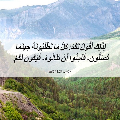 Picture 06 - مَرْقُس 11:24 AVD - لِذَلِكَ أَقُولُ لَكُمْ: - Bible Verse Picture