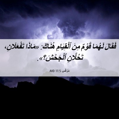 Picture 06 - مَرْقُس 11:5 AVD - فَقَالَ لَهُمَا قَوْمٌ - Bible Verse Picture
