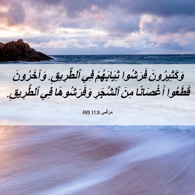 Picture 06 - مَرْقُس 11:8 AVD - وَكَثِيرُونَ فَرَشُوا - Bible Verse Picture