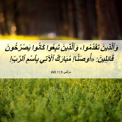 Picture 06 - مَرْقُس 11:9 AVD - وَٱلَّذِينَ تَقَدَّمُوا، - Bible Verse Picture