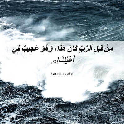 Picture 06 - مَرْقُس 12:11 AVD - مِنْ قِبَلِ ٱلرَّبِّ كَانَ - Bible Verse Picture
