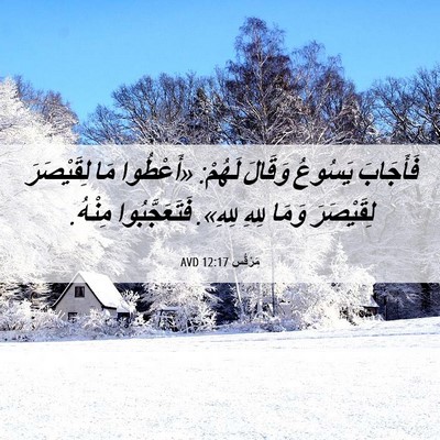 Picture 06 - مَرْقُس 12:17 AVD - فَأَجَابَ يَسُوعُ وَقَالَ - Bible Verse Picture