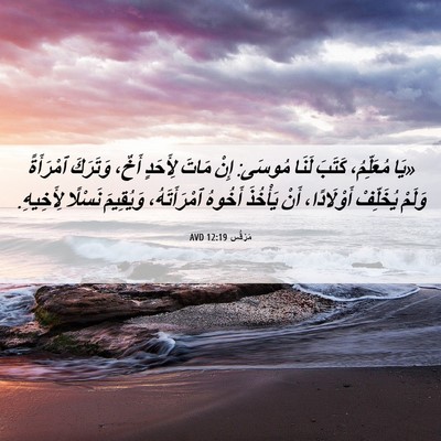 Picture 06 - مَرْقُس 12:19 AVD - «يَا مُعَلِّمُ، كَتَبَ - Bible Verse Picture