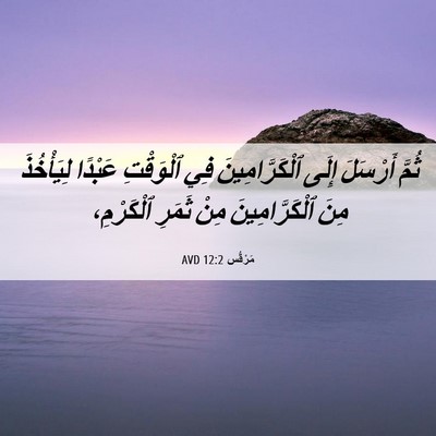 Picture 06 - مَرْقُس 12:2 AVD - ثُمَّ أَرْسَلَ إِلَى - Bible Verse Picture