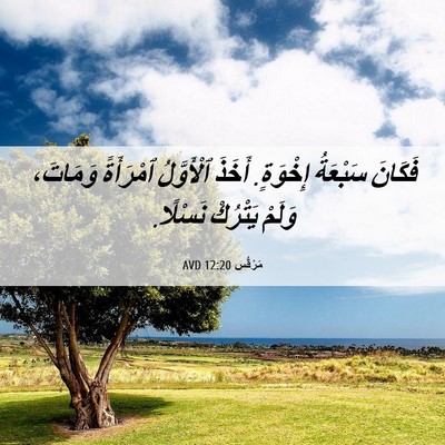 Picture 06 - مَرْقُس 12:20 AVD - فَكَانَ سَبْعَةُ إِخْوَةٍ. - Bible Verse Picture