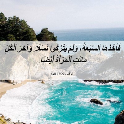 Picture 06 - مَرْقُس 12:22 AVD - فَأَخَذَهَا ٱلسَّبْعَةُ، - Bible Verse Picture