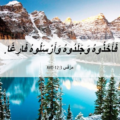 Picture 06 - مَرْقُس 12:3 AVD - فَأَخَذُوهُ وَجَلَدُوهُ - Bible Verse Picture