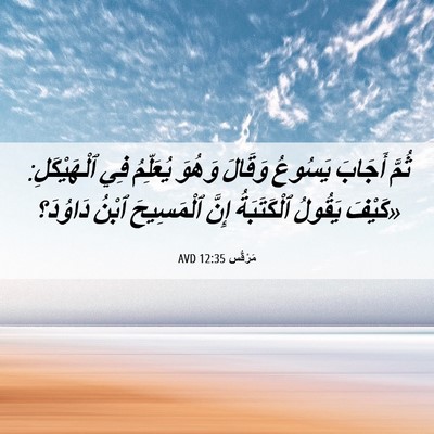 Picture 06 - مَرْقُس 12:35 AVD - ثُمَّ أَجَابَ يَسُوعُ - Bible Verse Picture