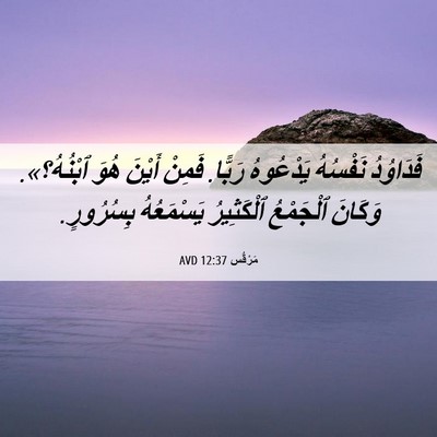 Picture 06 - مَرْقُس 12:37 AVD - فَدَاوُدُ نَفْسُهُ - Bible Verse Picture