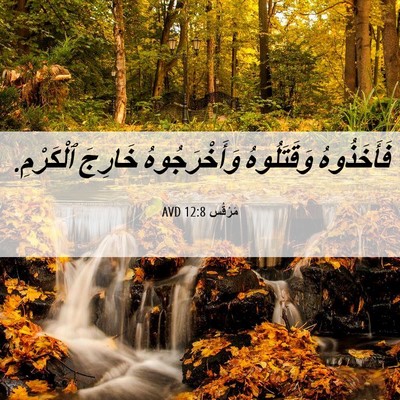 Picture 06 - مَرْقُس 12:8 AVD - فَأَخَذُوهُ وَقَتَلُوهُ - Bible Verse Picture