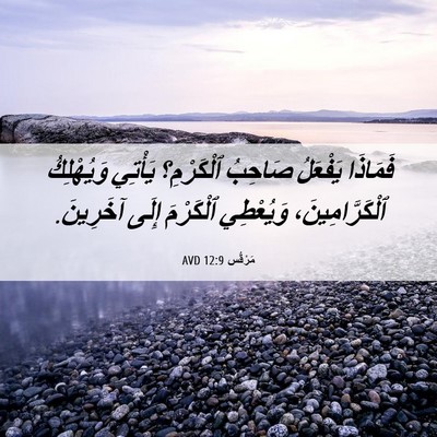 Picture 06 - مَرْقُس 12:9 AVD - فَمَاذَا يَفْعَلُ صَاحِبُ - Bible Verse Picture