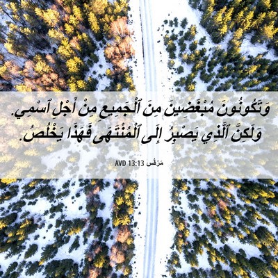 Picture 06 - مَرْقُس 13:13 AVD - وَتَكُونُونَ مُبْغَضِينَ - Bible Verse Picture