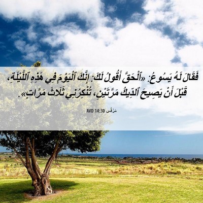 Picture 06 - مَرْقُس 14:30 AVD - فَقَالَ لَهُ يَسُوعُ: - Bible Verse Picture