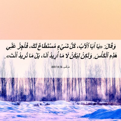 Picture 06 - مَرْقُس 14:36 AVD - وَقَالَ: «يَا أَبَا - Bible Verse Picture