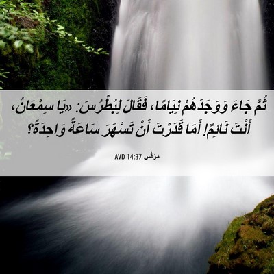 Picture 06 - مَرْقُس 14:37 AVD - ثُمَّ جَاءَ وَوَجَدَهُمْ - Bible Verse Picture