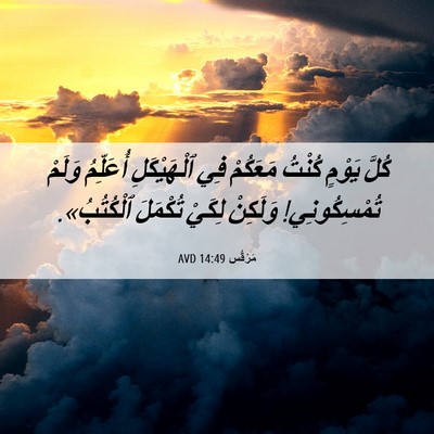 Picture 06 - مَرْقُس 14:49 AVD - كُلَّ يَوْمٍ كُنْتُ - Bible Verse Picture