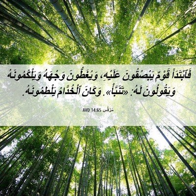Picture 06 - مَرْقُس 14:65 AVD - فَٱبْتَدَأَ قَوْمٌ - Bible Verse Picture