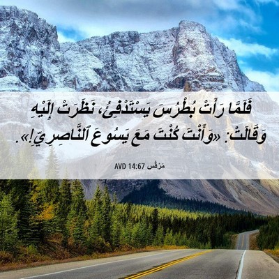 Picture 06 - مَرْقُس 14:67 AVD - فَلَمَّا رَأَتْ بُطْرُسَ - Bible Verse Picture