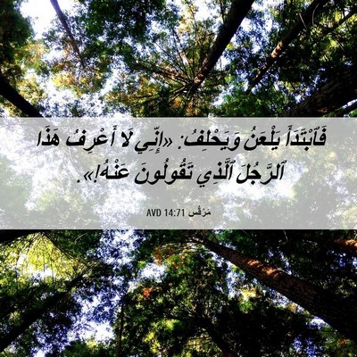 Picture 06 - مَرْقُس 14:71 AVD - فَٱبْتَدَأَ يَلْعَنُ - Bible Verse Picture