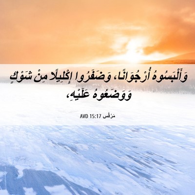 Picture 06 - مَرْقُس 15:17 AVD - وَأَلْبَسُوهُ - Bible Verse Picture