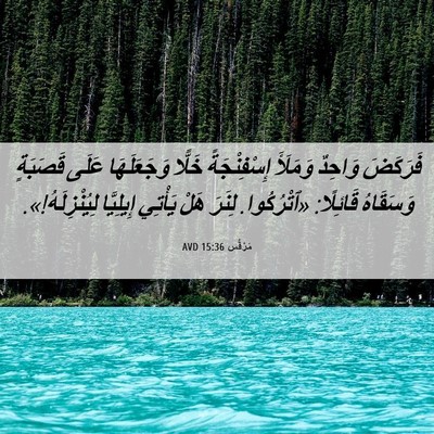Picture 06 - مَرْقُس 15:36 AVD - فَرَكَضَ وَاحِدٌ وَمَلَأَ - Bible Verse Picture