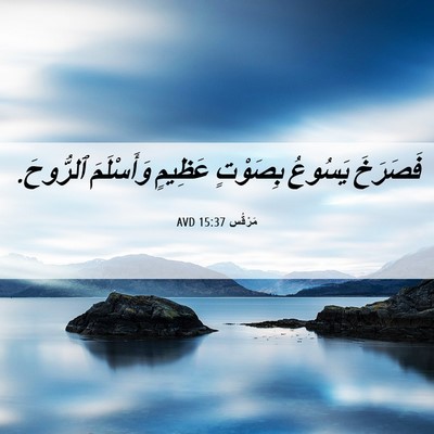 Picture 06 - مَرْقُس 15:37 AVD - فَصَرَخَ يَسُوعُ بِصَوْتٍ - Bible Verse Picture