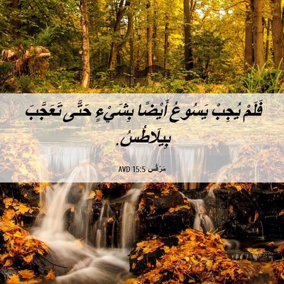 Picture 06 - مَرْقُس 15:5 AVD - فَلَمْ يُجِبْ يَسُوعُ - Bible Verse Picture