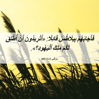 Picture 06 - مَرْقُس 15:9 AVD - فَأَجَابَهُمْ بِيلَاطُسُ - Bible Verse Picture