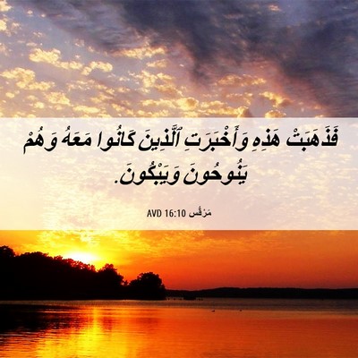 Picture 06 - مَرْقُس 16:10 AVD - فَذَهَبَتْ هَذِهِ - Bible Verse Picture