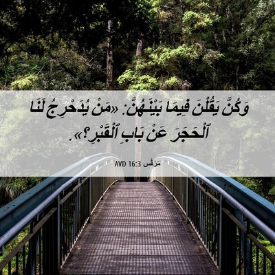 Picture 06 - مَرْقُس 16:3 AVD - وَكُنَّ يَقُلْنَ فِيمَا - Bible Verse Picture