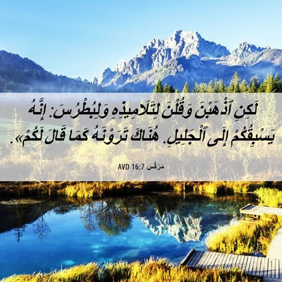 Picture 06 - مَرْقُس 16:7 AVD - لَكِنِ ٱذْهَبْنَ وَقُلْنَ - Bible Verse Picture