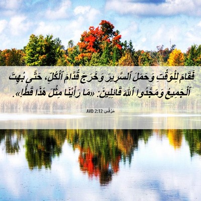 Picture 06 - مَرْقُس 2:12 AVD - فَقَامَ لِلْوَقْتِ - Bible Verse Picture