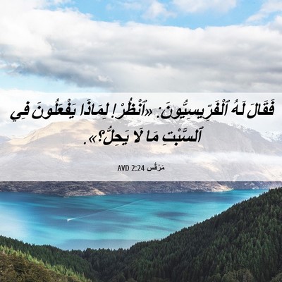 Picture 06 - مَرْقُس 2:24 AVD - فَقَالَ لَهُ - Bible Verse Picture