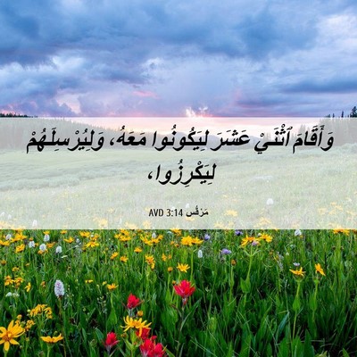 Picture 06 - مَرْقُس 3:14 AVD - وَأَقَامَ ٱثْنَيْ عَشَرَ - Bible Verse Picture