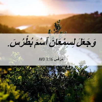 Picture 06 - مَرْقُس 3:16 AVD - وَجَعَلَ لِسِمْعَانَ - Bible Verse Picture