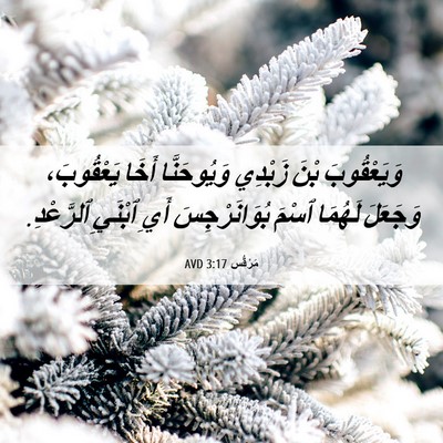 Picture 06 - مَرْقُس 3:17 AVD - وَيَعْقُوبَ بْنَ زَبْدِي - Bible Verse Picture