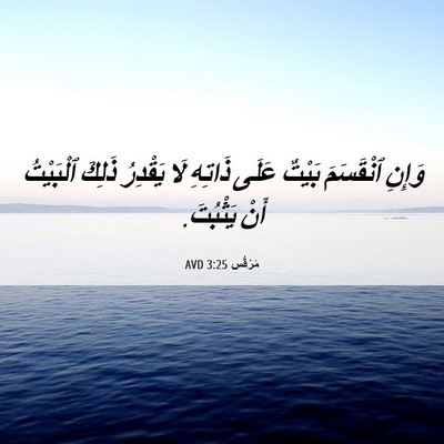 Picture 06 - مَرْقُس 3:25 AVD - وَإِنِ ٱنْقَسَمَ بَيْتٌ - Bible Verse Picture