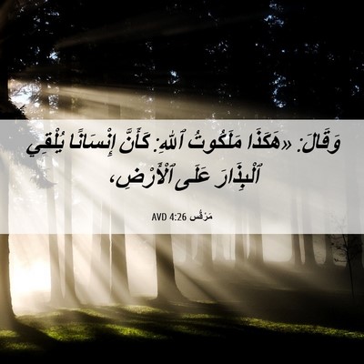 Picture 06 - مَرْقُس 4:26 AVD - وَقَالَ: «هَكَذَا - Bible Verse Picture