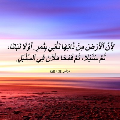 Picture 06 - مَرْقُس 4:28 AVD - لِأَنَّ ٱلْأَرْضَ مِنْ - Bible Verse Picture